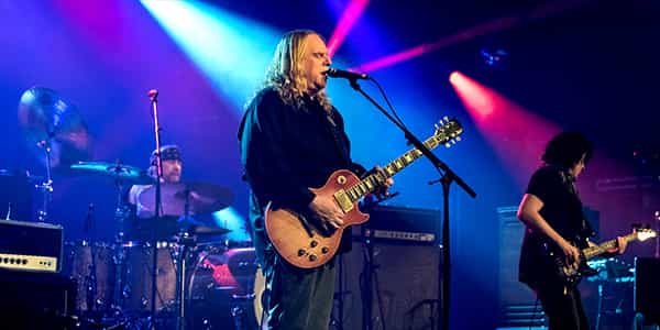 Image of Govt Mule In Aurora