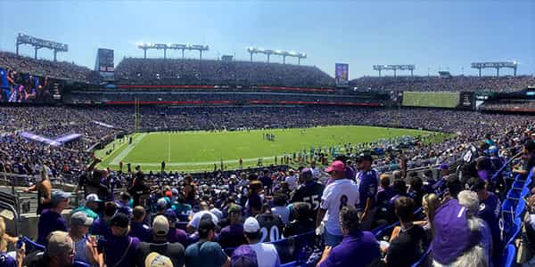 Image of Baltimore Ravens In Orchard Park