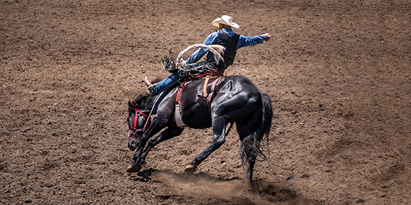 Image of PRCA Rodeo