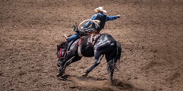 Image of Prca Rodeo In Alamosa